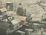 Pelarska zadruga 1912